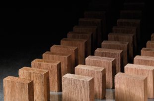 Pronektar Oak Blocs