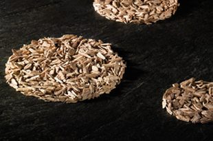 Pronektar Oak Granulates Nektarfresh