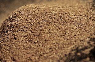 Pronektar oak powder